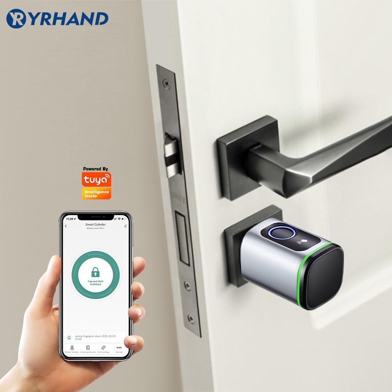 Euro Tuya Smart Fingerprint El - Smart Garden Lock ulasan dan harga