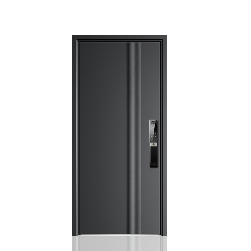 Factory Direct 2026 Customized - Smart Garden Door Lock ulasan dan harga