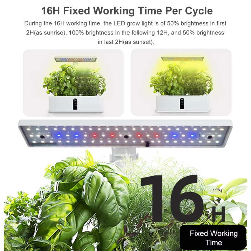 9 Pods Smart Hydroponics Growi - Smart Garden Is ulasan dan harga