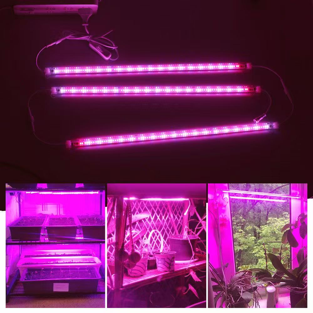 12 Inch LED Plant Grow Light S - Plant Grow Light Full Spectrum ulasan dan harga
