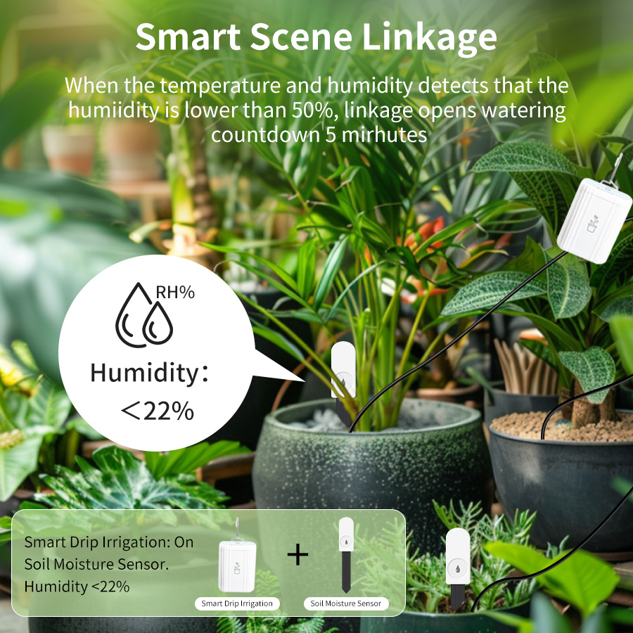Smart Zigbee 3.0 Soil Tester H - Smart Garden Sensors ulasan dan harga