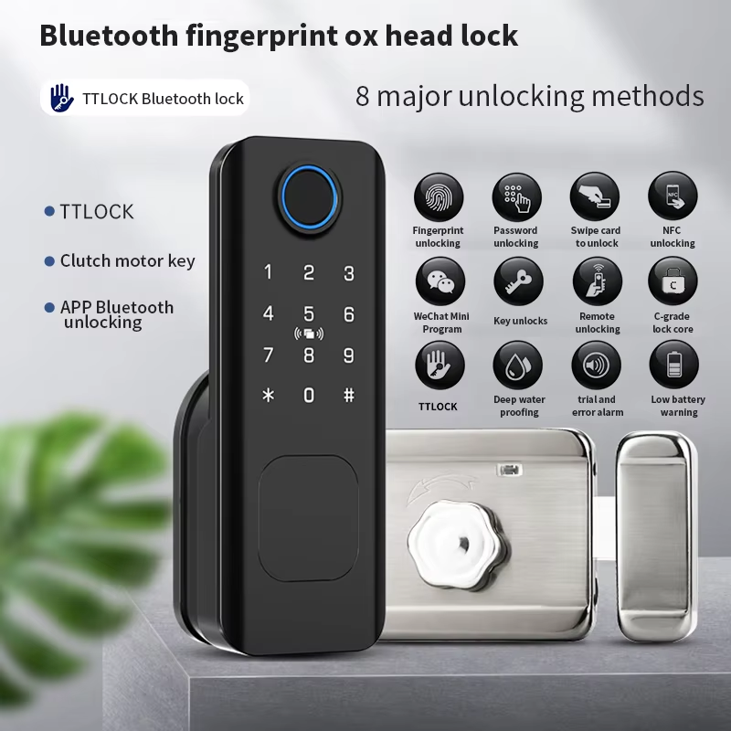 Beginnerr Tuya Ttlock Outdoor  - Smart Garden Door Lock ulasan dan harga